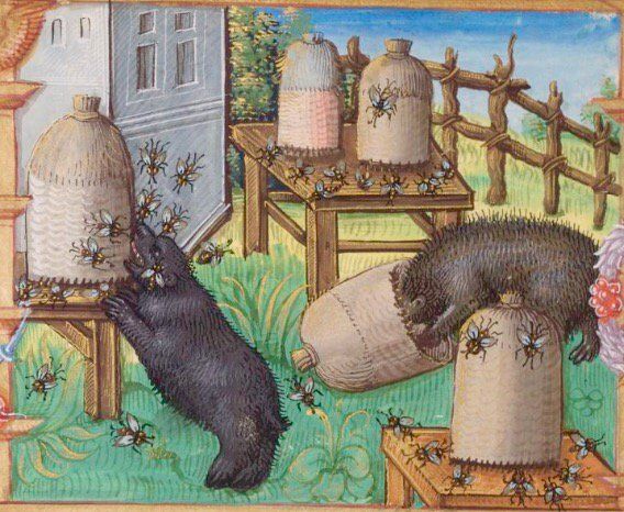 bears and honey mead medovina медовина какво е медовина